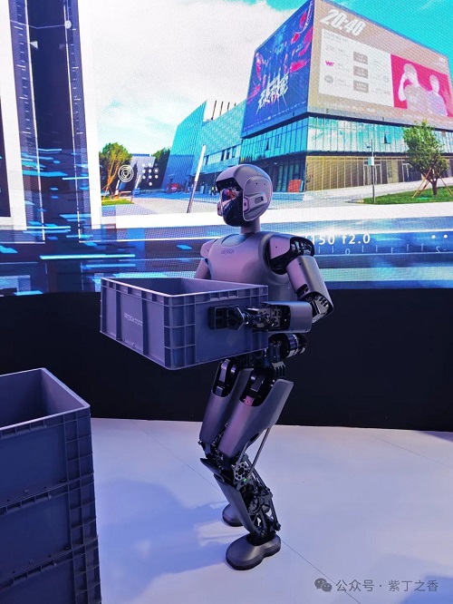 1758622028235859.jpg 2.jpg